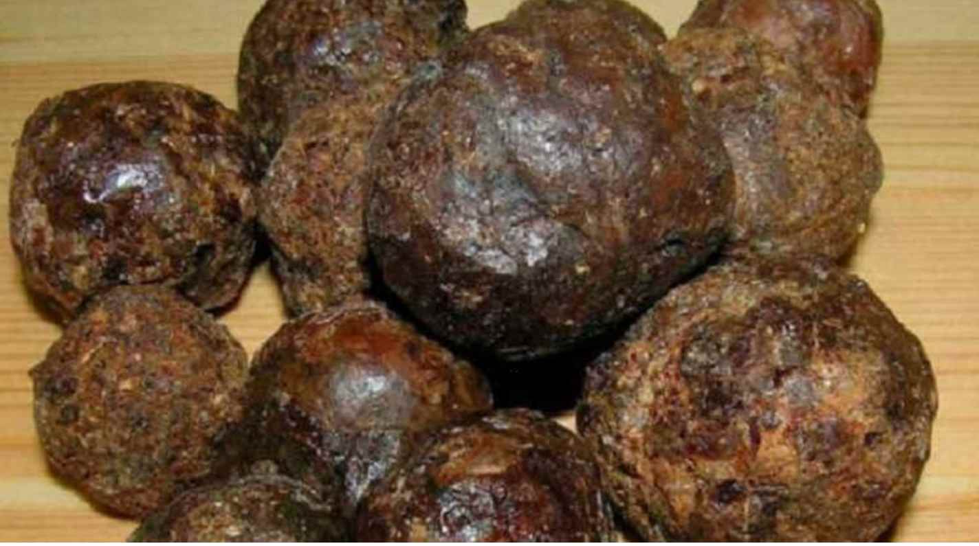 Прополис пчелиный что это и для чего